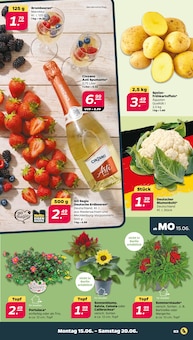 Wermut Angebot im Netto mit dem Scottie Prospekt, gültig von 15.06.2026 bis 20.06.2026 Wermut Angebot im aktuellen Netto mit dem Scottie Prospekt auf Seite 3