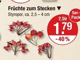 Früchte zum Stecken im V-Markt Prospekt Früchte zum Stecken von im aktuellen V-Markt Prospekt für 1,79 €