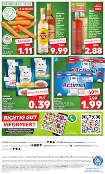 Joghurt im aktuellen Kaufland Prospekt (Cottbus) Joghurt im Kaufland Prospekt "KNÜLLER" mit 58 Seiten (Cottbus)