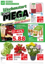 Kaufland Prospekt für Sulzbach mit 48 Seiten Kaufland Prospekt für Sulzbach: "ECHT MEGA BILLIG", 48 Seiten, 26.10.2020 - 28.10.2020