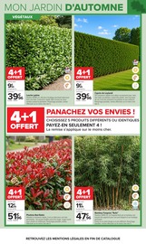 Prospectus Carrefour "JARDIN" en cours à Strasbourg, Page 6 Catalogue Carrefour en cours à Strasbourg, "JARDIN", Page 6