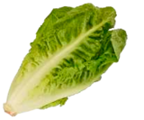 Bio Salatherzen Mini Romana von  im aktuellen EDEKA Prospekt für 1,99 €