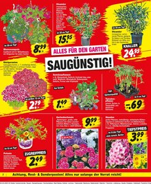 Repo Prospekt der Woche "Aktuelle Angebote" Seite 2, 05.05.2025 bis 10.05.2025 für Belzig Aktueller Repo Prospekt "Aktuelle Angebote" Seite 2 von 20 Seiten für Belzig