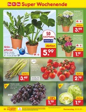 Aktueller Netto Marken-Discount Prospekt mit Hortensie, "Aktuelle Angebote", Seite 52