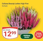 Calluna Beauty Ladies High Five im Angebot bei GLOBUS in Altenburg Calluna Beauty Ladies High Five Angebote bei GLOBUS Altenburg für 12,99 €