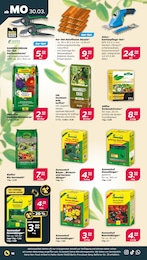 Pflanzerde Angebot im aktuellen Netto mit dem Scottie Prospekt auf Seite 22