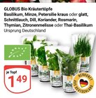 Aktuelle Rosmarin Angebote bei GLOBUS in Koblenz Aktuelles Bio Kräutertöpfe Basilikum Angebot bei GLOBUS in Koblenz ab 1,49 €