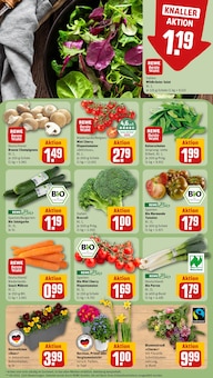 Pflanzen im REWE Prospekt "Dein Markt" mit 16 Seiten (Hannover)