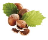 Noisettes dans le catalogue Aldi