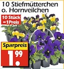 Angebot im Wreesmann Groß Schacksdorf-Simmersdorf Prospekt Wreesmann Groß Schacksdorf-Simmersdorf Prospekt mit im Angebot für 1,99 €