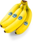 Aktuelle Bananen Angebote bei Netto Marken-Discount in Neuss Aktuelles Bananen Angebot bei Netto Marken-Discount in Neuss ab 1,99 €