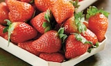 Intermarché Contact Naucelle - Promo Fraise Ronde Promo Fraise Ronde à 2,99 € dans le catalogue Intermarché Contact à Naucelle