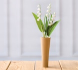 Promo Muguet 3 brins + 1 feuille à 2,99 € dans le catalogue U Express à Briare