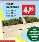 Thomas Philipps Pfullingen - Mooskörbchen Angebot im Prospekt Mooskörbchen bei Thomas Philipps im Pfullingen Prospekt für 4,99 €