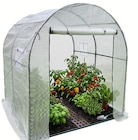 Folien-Gewächshaus Angebote von Top Garten bei Wreesmann Cuxhaven für 79,99 €