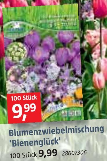 BAUHAUS Nürnberg - Blumenzwiebelmischung 'Bienenglück' Blumenzwiebelmischung 'Bienenglück' Angebot bei BAUHAUS Nürnberg im Prospekt Handzettel KW 36