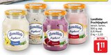 Vanille Joghurt im Angebot bei E center in Ulm Vanille Joghurt Angebote von Landliebe bei E center Ulm für 1,11 €