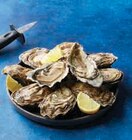 Huîtres fines Bretagne - U en promo chez Super U Quimper à 6,95 €