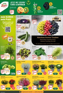 Pflanzen im aktuellen GLOBUS Prospekt (Bochum) Pflanzen im GLOBUS Prospekt "Aktuelle Angebote" mit 23 Seiten (Bochum)