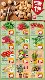 REWE Damenmode im Prospekt REWE Damenmode im Prospekt