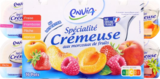 Spécialité crémeuse aux morceaux de fruits - ENVIA dans le catalogue Lidl