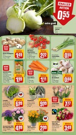 Aktueller REWE Prospekt mit Hortensie, "Dein Markt", Seite 9