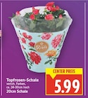 Topfrosen-Schale im aktuellen E center Prospekt