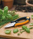 Kräuterschere SP220 von FISKARS für 9,99 € bei Netto mit dem Scottie im Angebot Kräuterschere SP220 von FISKARS im aktuellen Netto mit dem Scottie Prospekt