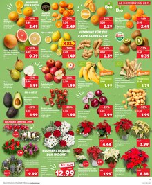 Kartoffeln im aktuellen Kaufland Prospekt (Mülheim (Ruhr)) Kartoffeln im Kaufland Prospekt "Aktuelle Angebote" mit 28 Seiten (Mülheim (Ruhr))