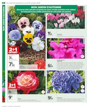 Hortensia Angebote im Prospekt "PRÉPAREZ L’AUTOMNE : JARDIN - BRICOLAGE" von Carrefour auf Seite 6