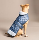 Hundesteppjacke für 6,00 € bei Woolworth im Angebot Hundesteppjacke im aktuellen Woolworth Prospekt