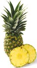 Ananas im aktuellen Netto mit dem Scottie Prospekt