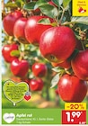 Apfel rot im Netto Marken-Discount Prospekt Apfel rot von im aktuellen Netto Marken-Discount Prospekt für 1,99 €