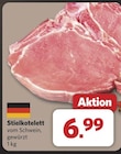 Stielkotelett bei combi im Garbsen Prospekt für 6,99 €