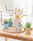Vase coquillage Actuel - ACTUEL - Auchan Hypermarché à Béziers Vase coquillage Actuel - ACTUEL en promo chez Auchan Hypermarché Béziers à 5,99 €