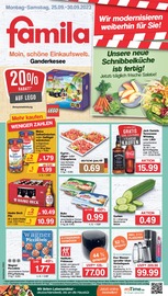 LEGO im famila Nordwest Prospekt in Delmenhorst Aktueller famila Nordwest Prospekt mit LEGO, "Markt - Angebote", Seite 1