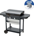 Plancha gaz(1) sur chariot Campingaz EX (+ housse) - Campingaz - Castorama à Herblay Plancha gaz(1) sur chariot Campingaz EX (+ housse) - Campingaz en promo chez Castorama Herblay à 259,00 €