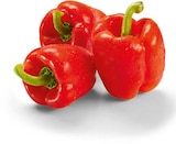 Paprika rot Angebote von Markttag bei Netto Marken-Discount Köln für 1,69 €
