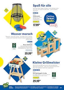 Gesellschaftsspiele Angebot im aktuellen Lidl Prospekt auf Seite 39