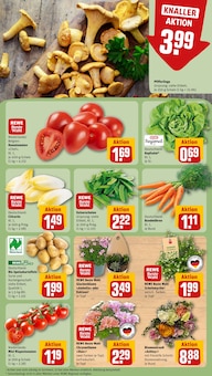 Blumen im REWE Prospekt "Dein Markt" mit 31 Seiten (Wiesbaden)