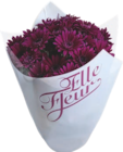 Chrysanthème - GARDENLINE en promo chez Aldi Yerres à 3,49 €