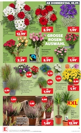 Ähnliche Streusalz Angebote im Prospekt "Hier bin ich richtig" von Kaufland in Bocholt Ähnliche Angebote wie Streusalz im Prospekt "Hier bin ich richtig" auf Seite 18 von Kaufland in Bocholt