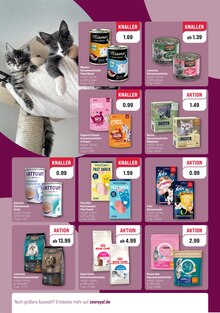 Katzenfutter im ZooRoyal Prospekt "HEISSE URLAUBSANGEBOTE!" mit 8 Seiten (Düsseldorf)