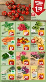 Aktueller REWE Prospekt mit Kartoffeln, "Dein Markt", Seite 7