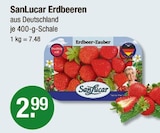 Aktuelles Erdbeeren Angebot bei V-Markt in Regensburg ab 2,99 €