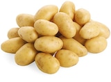 REWE Bad Ems - Speisekartoffeln Angebot im Prospekt Speisekartoffeln bei REWE im Bad Ems Prospekt für 1,49 €