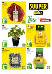 Ähnliche Spargel Angebote im Prospekt "Top Angebote" von EDEKA in Cuxhaven Ähnliche Angebote wie Spargel im Prospekt "Top Angebote" auf Seite 3 von EDEKA in Cuxhaven