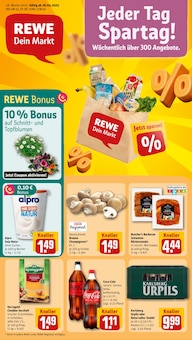 REWE Prospekt Dein Markt mit 32 Seiten