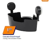 Action Euskirchen - Cascata Duschregal Angebot im Prospekt Cascata Duschregal bei Action im Euskirchen Prospekt für 1,99 €