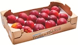 Nectarines jaunes ou blanches dans le catalogue Colruyt